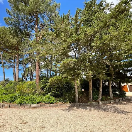 Maison Chaleureuse Avec Piscine, Proche Foret Et Plage, A Jean De Monts - Wifi Gratuit - Fr-1-323-441 *